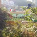 당리동-6 이미지