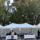 마로니에공원 | 2025년 43회 마로니에 여성 백일장 참가 후기 대학로 마로니에 공원