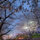 여좌천거리 이미지