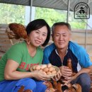 윤소영미용실 | 블챌 주간일기챌린지 6월 27일 부터 7월 3일 요즘 나무 그늘이 너무 좋더라