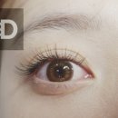 뚱슈헤나 이미지