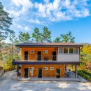 소나무숲 방주산장 이미지