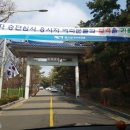 경희대박사 태산태권도 이미지