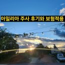 아일리아 | 황반변성 치료- 아알리아주사 후기와 환급 보험적용 이야기