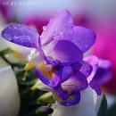 영일초등학교 이미지