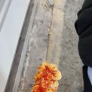 부광통닭 이미지