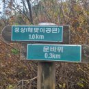 우듬지 이미지