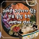 [전포 술집 추천] 세번째 연어 : 연어와 차돌사시미 대박 맛집