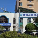 [초급] 생활요가 이미지