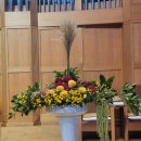 원주제일 이미지