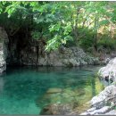 필돌농장 이미지