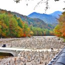 24-10-17일 불교방 원정순례 백담사 낙산해수욕장 이미지