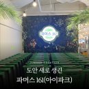 161 | 대전 상대동 신상 마트 파머스161 장보기 후기 가격대, 신선도
