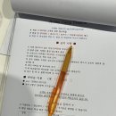 태안 갯벌체험 가성비 숙소 | 하비캠프펜션 (조개잡는법 꿀팁+준비물, 펜션 장보기 리스트)
