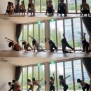 명상과 스트레칭 요가(주말) | 반송동 요가 추천, 인사이드 플로우 클래스 후기