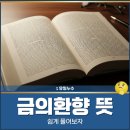 금의환향 | 금의환향 뜻, 쉽게 풀어보자