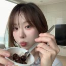 보조개강쥐 네이버블로그