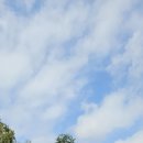 박지마을호텔, 식당 이미지