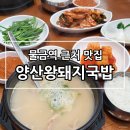 양산 물금역 근처 맛집 양산왕돼지국밥 진한 맛 깨끗한 식당