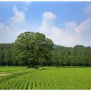 신평마을 이미지