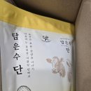 [담은수단] 고기 안먹는 어린이단백질영양제 추천 템 후기