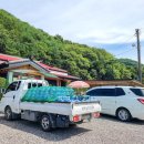 대백해물마을 이미지