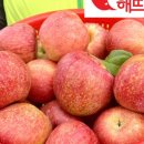 해뜨는농장 이미지