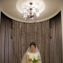 (주)스카이웨딩컨벤션 이미지