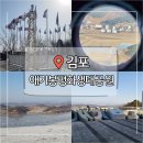 호암생태전시관 화장실 | 김포 가볼만한곳 애기봉평화생태공원 예약 후기