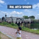 전라남도 곡성, 폭염(?) 뚫고 다녀온 기차마을 장미축제! 아이랑 곡성 기차마을 축제다녀온 후기