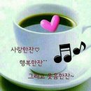 초록향기 - 장성군 매화2길 13 | 초록향기