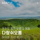 오름 | 제주 동쪽 다랑쉬 오름 월랑봉 등산 후기