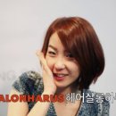 봄꽃헤어 이미지