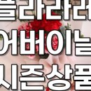 플라라레 이미지