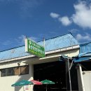 울산 농수산물 도매시장 조개구이용 가리비 실패후기