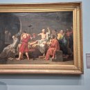 스위스파크 호스텔 | Day49ㅣ뉴욕 메트로폴리탄 미술관 도슨트 센트럴 파크 더 로컬 뉴욕 The Local NY 호스텔