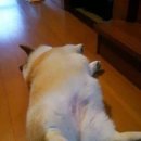 짐 이미지