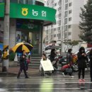 내서농협 앞 이미지