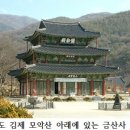 율사 이미지