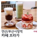 시청역 (1호선) | [연산/부산시청역] 카페 브라가 : 맛있는 커피, 달콤한 딸기케익, 귀여운 고양이. 행복했던 방문 후기.