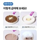 [포푸코]H solution / 에이치 솔루션 / 강아지 / 애견 심장영양제 후기 / 대형견영양제
