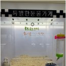 특별한동물가게 평택점 이미지