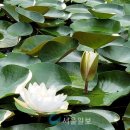 수환경 이미지