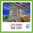 고덕이케아:) 방문 후기 담!