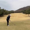 [공지] 2024 내맘대로 베스트 골프장