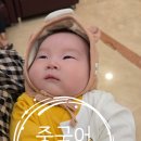 디디엔엔 | 🌸 4월 벚꽃 시즌 필수! 중국 3대 벚꽃 명소 & 반드시 알아야 할 기초 중국어 단어 5선 - 34화