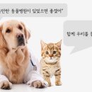 우리동생 동물병원 이미지