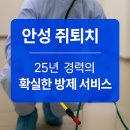 일동제약(주) 안성공장 | 안성 쥐퇴치 업체 – 25년 경력의 확실한 방제 서비스