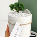 네일공간 이미지