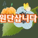 옥수실업